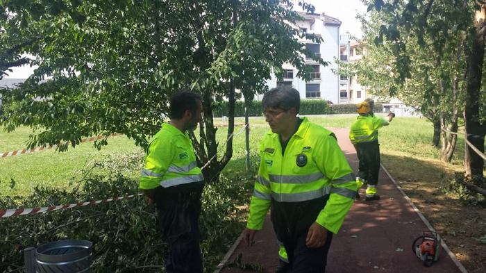 Protezione civile al lavoro 14/06