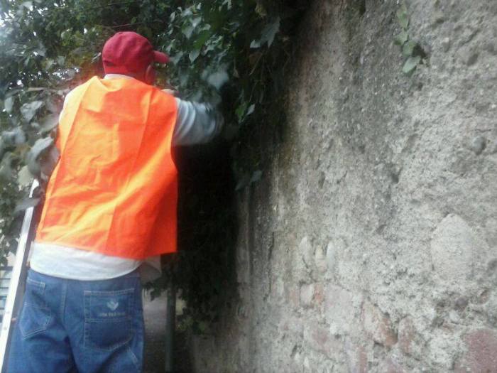 Pista ciclabile messa in sicurezza e ripulita 17/06