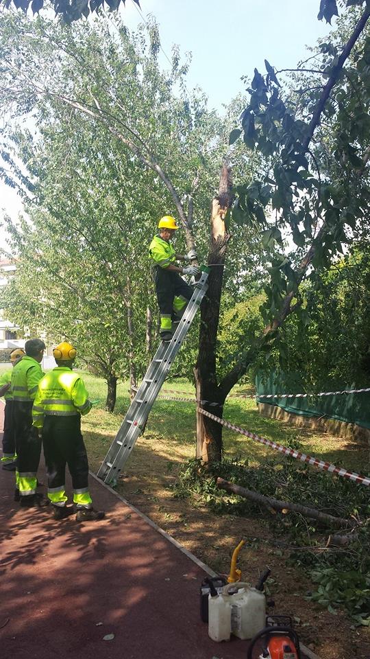 Protezione civile al lavoro 