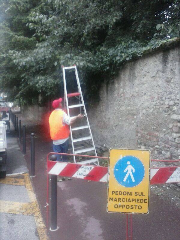 Pista ciclabile messa in sicurezza e ripulita 17/06