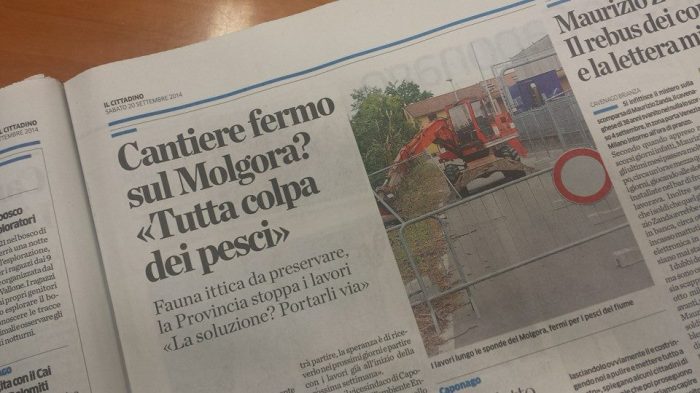 10704073_1604128729814418_7525681443751984762_n