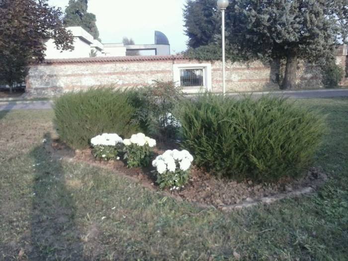 10384362_1622091351351489_5537239482653586316_n