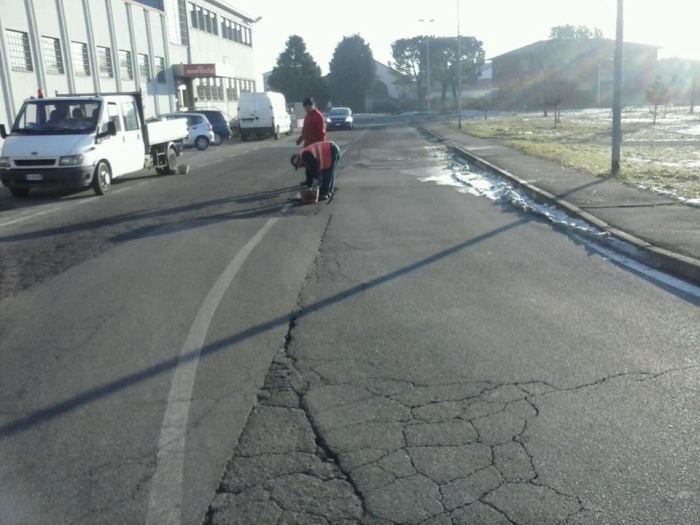 1533880_1672233716337252_8256885953981662080_n