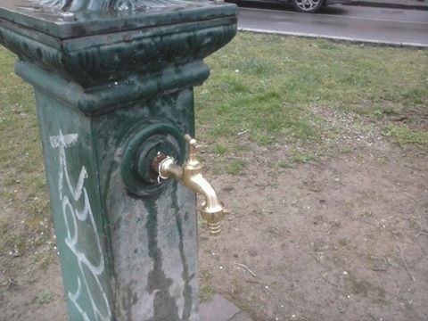 1509881_1691576464402977_4983421401118979334_n