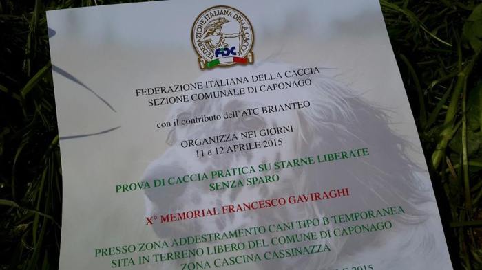 11156218_1703574076536549_1312065480477460463_n