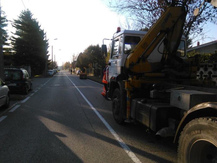 12234971_1785915031635786_5886529335299468258_n